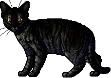 a profile view of shadowsight, with his head turned toward the viewer